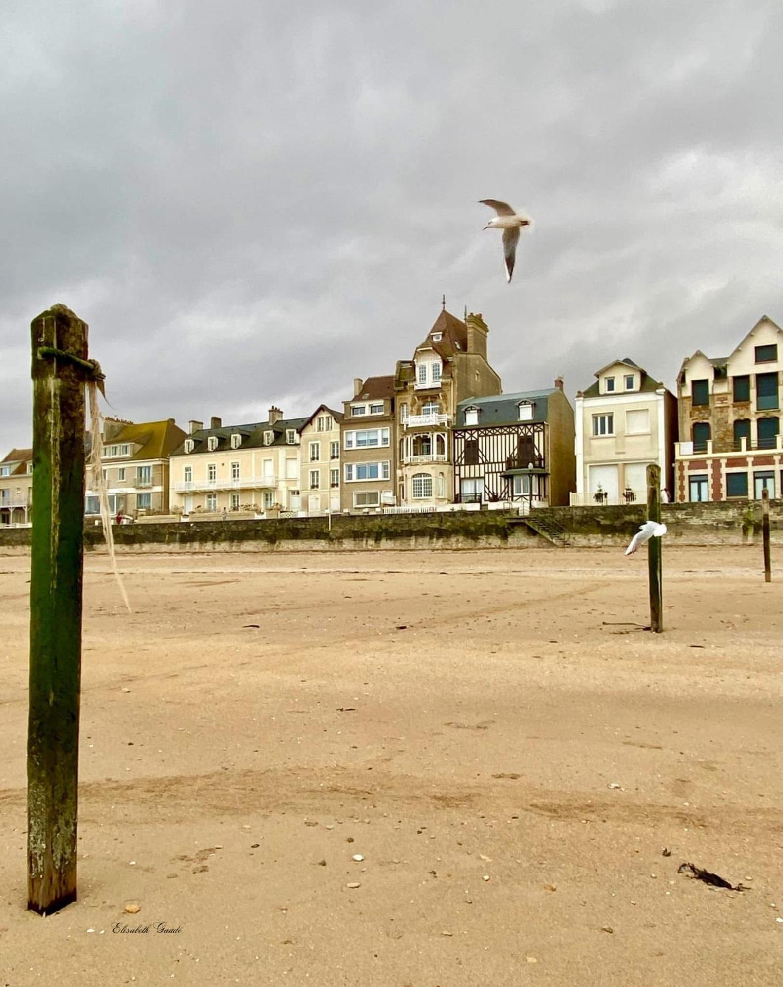 Saint-Aubin-Sur-Mer: Bel Appartement Traversant Esterno foto